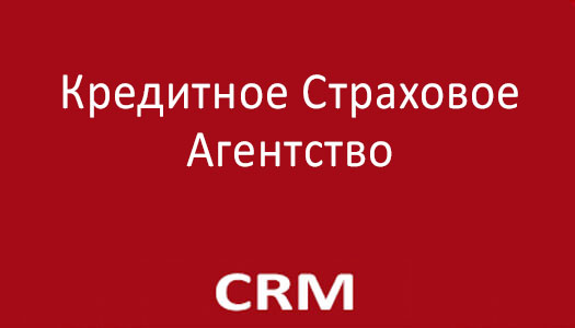 CRM-система для Кредитного агентства